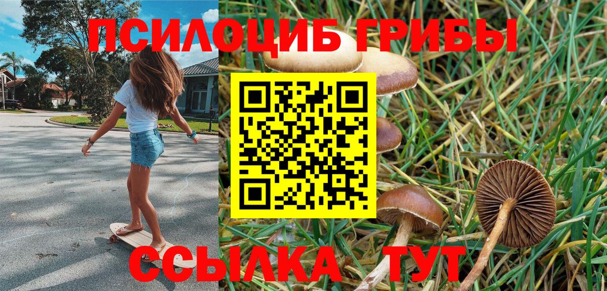 Псилоцибиновые грибы Magic Shrooms  Вход с VPN  Томск  Псилоцибиновые грибы мицелий 